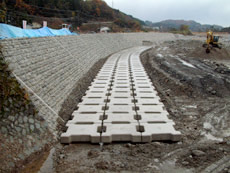 富山県　神通川根固工