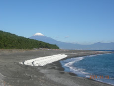 静岡県　清水海岸