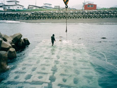 北海道　白老海岸離岸堤工